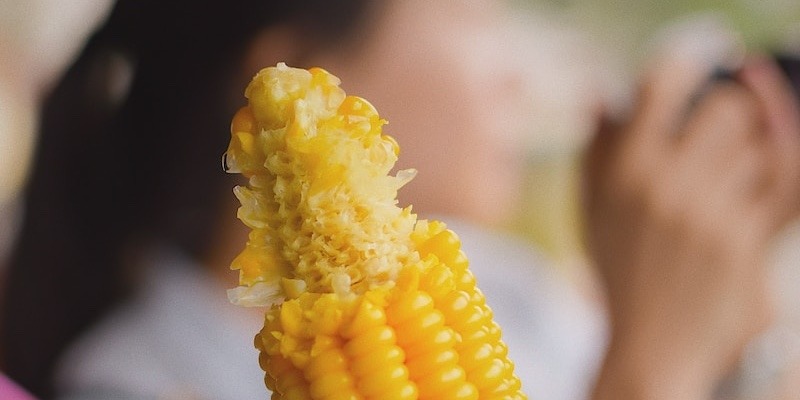 Corn Eating Contest