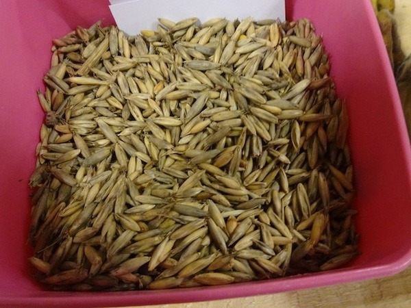 Grain & Hay