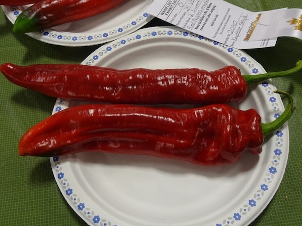 Vegetables